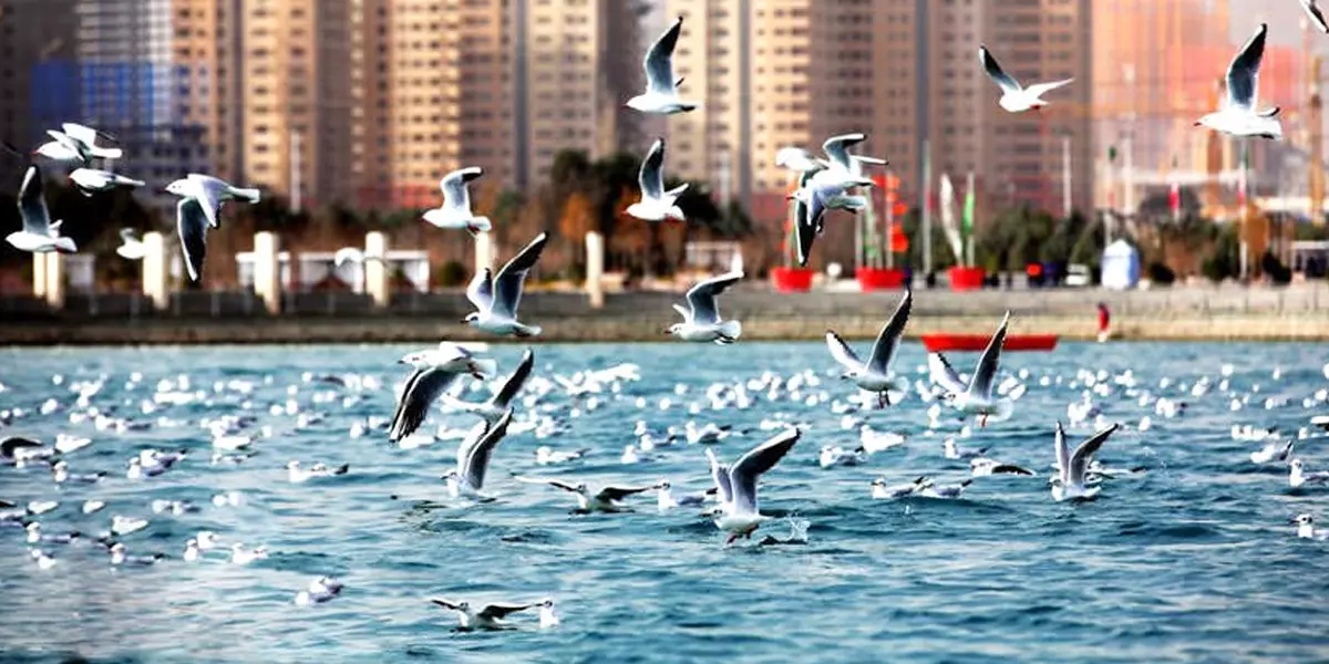 Chitgar Lake (khalije fars lake)